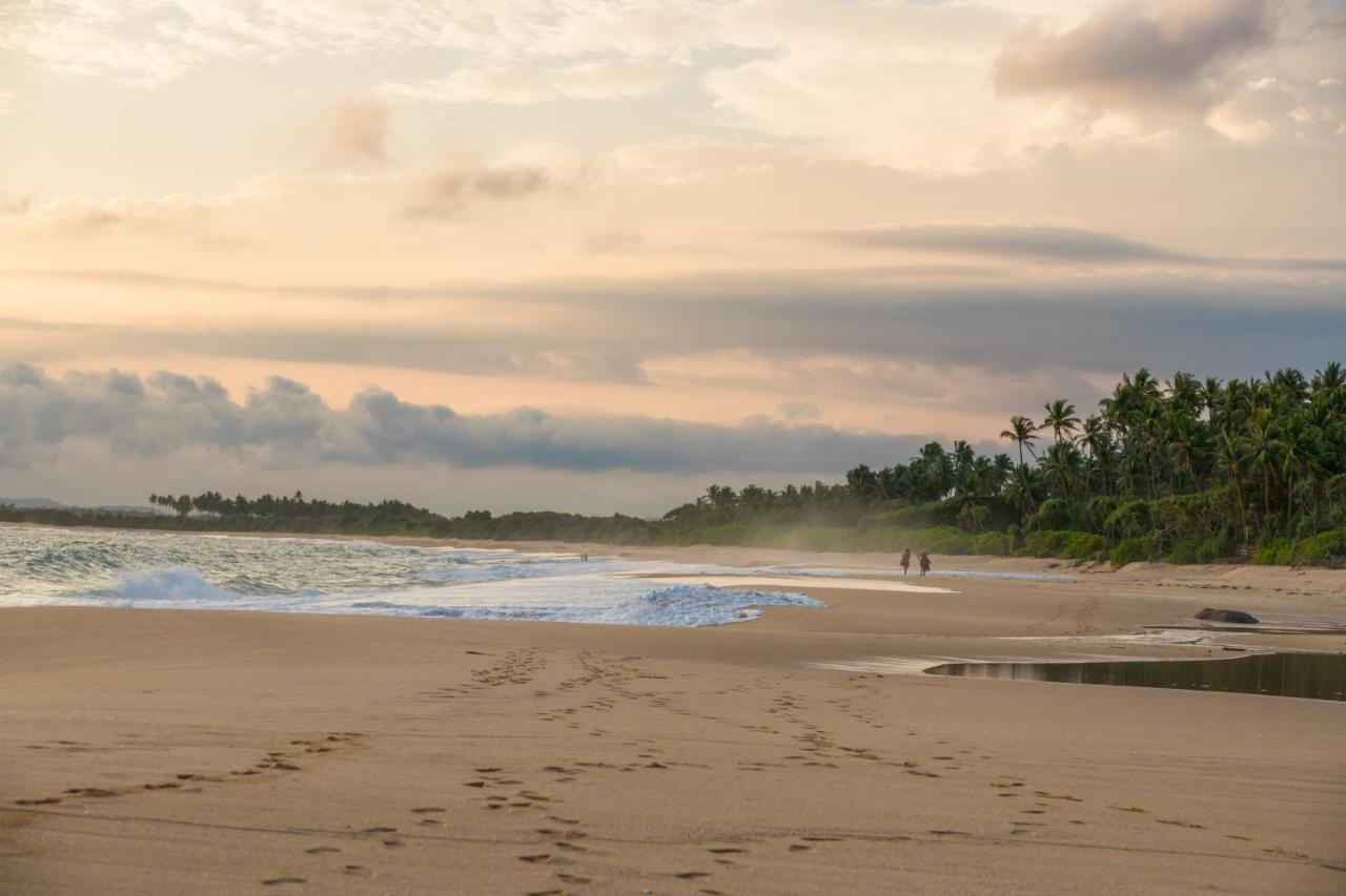 Shine Wave Turtle Beach Tangalle Exterior photo