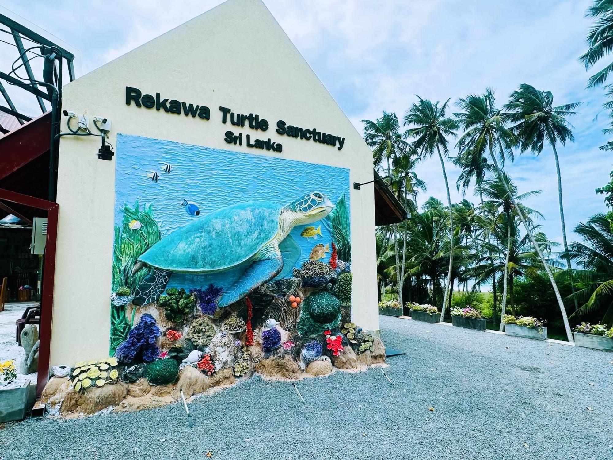 Shine Wave Turtle Beach Tangalle Exterior photo